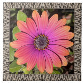 6 "x 6" keramische Tegel met Brilliant Gazania Tegeltje (Voorkant)
