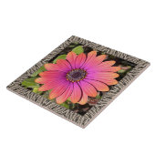 6 "x 6" keramische Tegel met Brilliant Gazania Tegeltje (Zijkant)