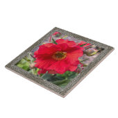 6 "x 6" keramische Tegel met mooie rode roos Tegeltje (Zijkant)