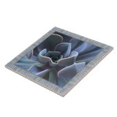 6 "x 6" keramische Tegel met mooie succulent Tegeltje (Zijkant)