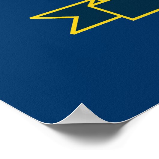 6e Wisconsin Infanterie Poster (Hoek)