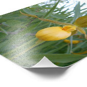 6x4 Foto afdrukken (Hoek)