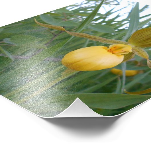 6x4 Foto afdrukken (Hoek)