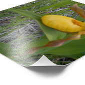 6x4 Foto afdrukken (Hoek)