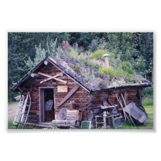 6x4 foto in Denali Afdruk (Voorkant)