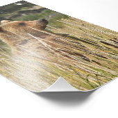 6x4 foto van foto afdruk (Hoek)