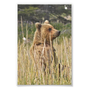 6x4 foto van foto afdruk