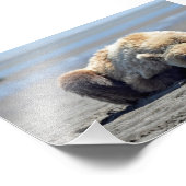 6x4 foto van grizzly beer afdruk (Hoek)
