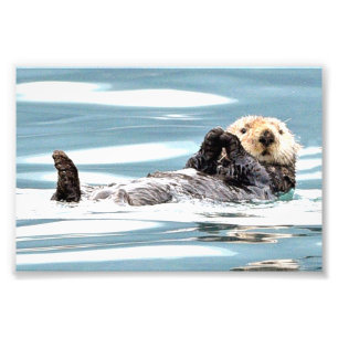 6x4 foto van otters afdruk