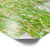 6x4 foto van vloeien afdruk (Hoek)