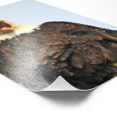 6x4-fotoadelaar foto afdruk (Hoek)