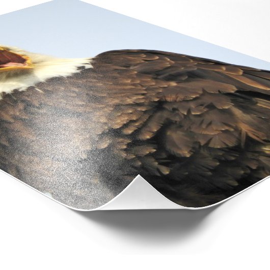 6x4-fotoadelaar foto afdruk (Hoek)