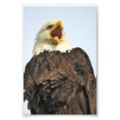 6x4-fotoadelaar foto afdruk (Voorkant)