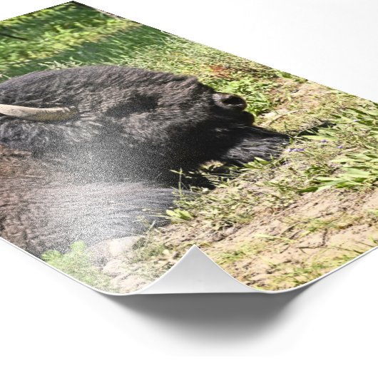 6x4 fotobuffel foto afdruk (Hoek)