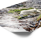 6x4 foto's foto afdruk (Hoek)