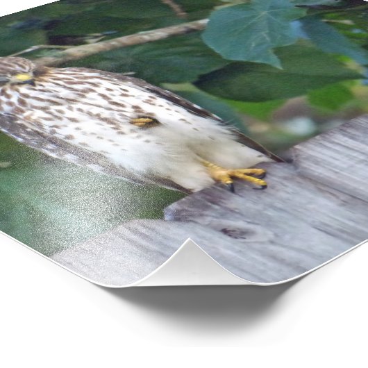 6x4 fotovalk foto afdruk (Hoek)