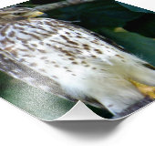 6x4 fotovalk foto afdruk (Hoek)