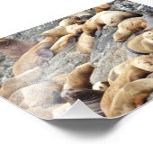 6x4 fotozegels foto afdruk (Hoek)