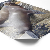 6x4 fotozegels foto afdruk (Hoek)