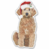 6x6 Custom-Cut Kerst sticker van golden doodle (Voorkant)