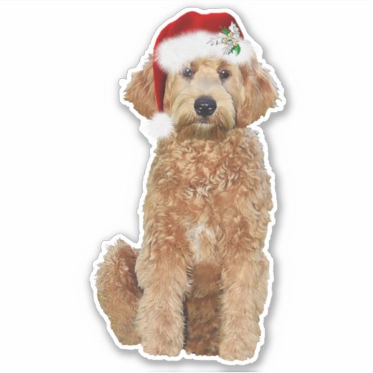 6x6 Custom-Cut Kerst sticker van golden doodle (Voorkant)