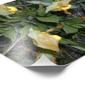 6x6 fotoafdrukken foto afdruk (Hoek)