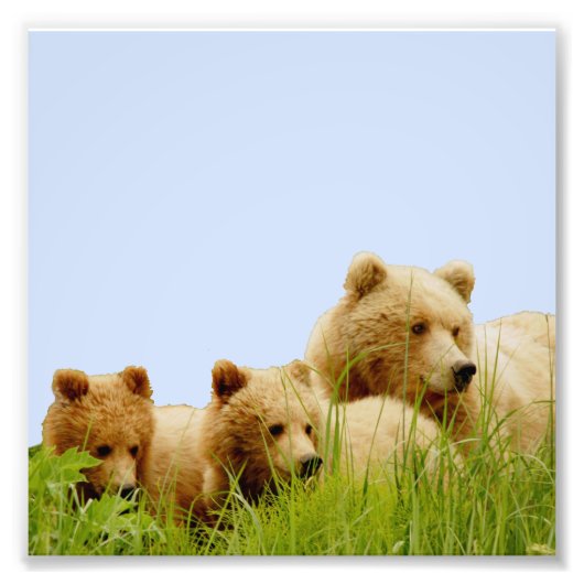 6x6 Kodak Professional-fotopapier (Satin) Foto Afdruk (Voorkant)