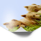 6x6 Kodak Professional-fotopapier (Satin) Foto Afdruk (Hoek)