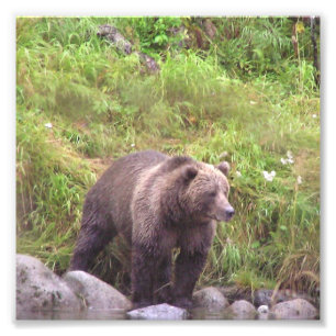 6x6 Kodak Professional-fotopapier (Satin) Foto Afdruk