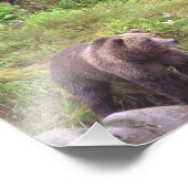 6x6 Kodak Professional-fotopapier (Satin) Foto Afdruk (Hoek)