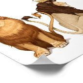 6x6 Lions in Love Print (Hoek)