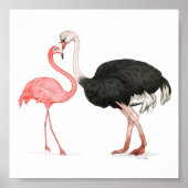 6x6 Tortelduifjes afdrukken Poster (Voorkant)