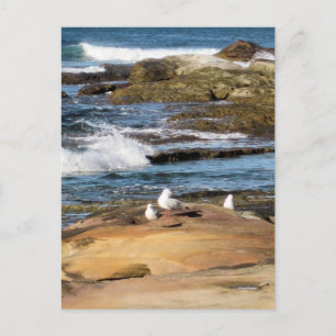 #7001 Strand ansichtkaart Briefkaart