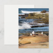 #7001 Strand ansichtkaart Briefkaart (Voorkant / Achterkant)
