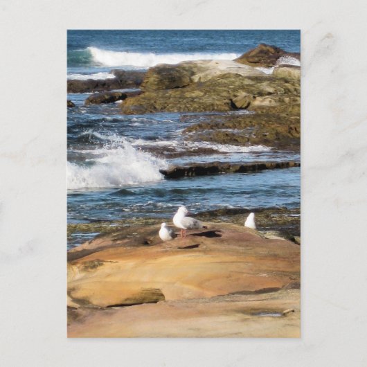 #7001 Strand ansichtkaart Briefkaart (Voorkant)