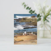 #7001 Strand ansichtkaart Briefkaart (Staand voorkant)