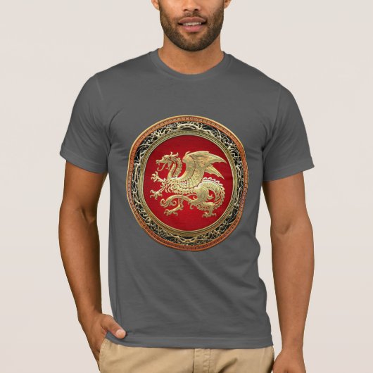 [700] IJslandse draak, Landvætir [Gold] T-shirt (Voorkant)
