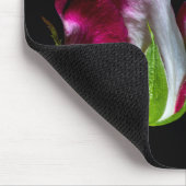 7019-Red Tipped White Rose Muismat (Hoek)