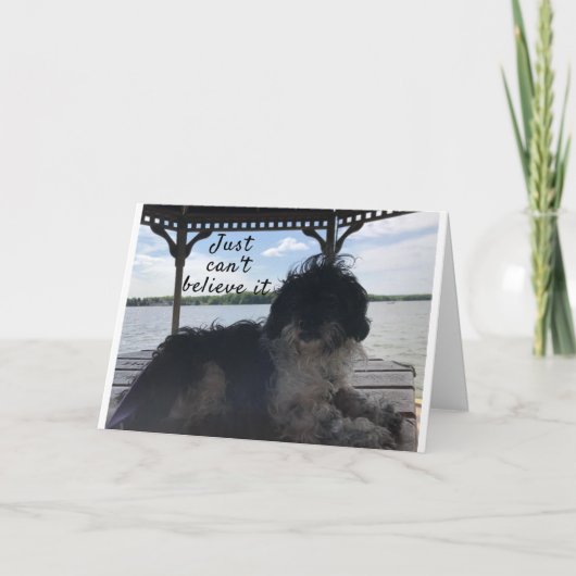 **70** HOE VOELT U DE KAART VAN DE BIRTHDAY-HUMOR (Voorkant)