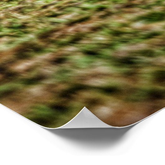 "70 Super Bee Poster (Hoek)