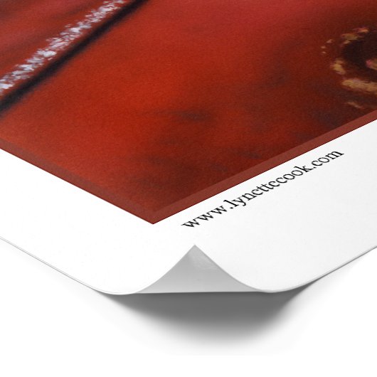 70 Virginis b en Moons Print (Hoek)