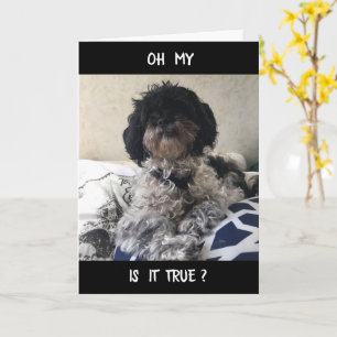 **70** ZIET ER GEWELDIG UIT! FIJNE VERJAARDAG KAART