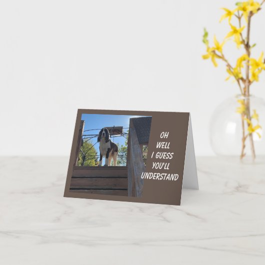 70e BIRTHDAY GREETINGS VAN EEN COMEDIC DOG Card Kaart (Gele Bloem)