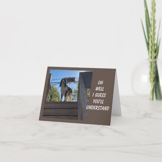 70e BIRTHDAY GREETINGS VAN EEN COMEDIC DOG Card Kaart (Voorkant)