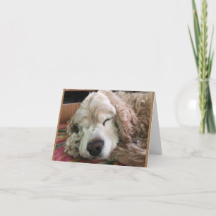 *70e BIRTHDAY* HA HA (FUNNY DOG HUMOR) Kaart