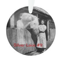 70e Jubileum Zilverzijde, kant #9 Ornament