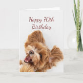 70e verjaardag Fun Start Cute Dog Puppy Pet Card Kaart (Voorkant)