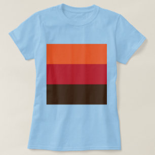 70s Retro 3 Gestreept  Kleurenpatroon T-shirt