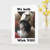 "70ste" BIRTHDAY WIST VAN BEIDE DOGSSIER UIT DE VS Kaart (Gele Bloem)