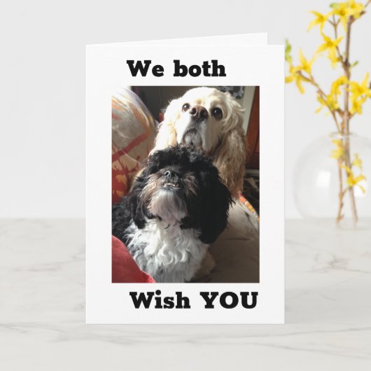 "70ste" BIRTHDAY WIST VAN BEIDE DOGSSIER UIT DE VS Kaart (Gele Bloem)